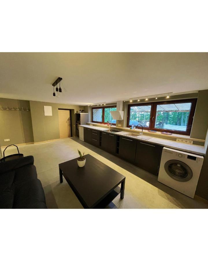 Brivdienu Maja Ezerkalni Myza Dzirtsiyems Extérieur photo