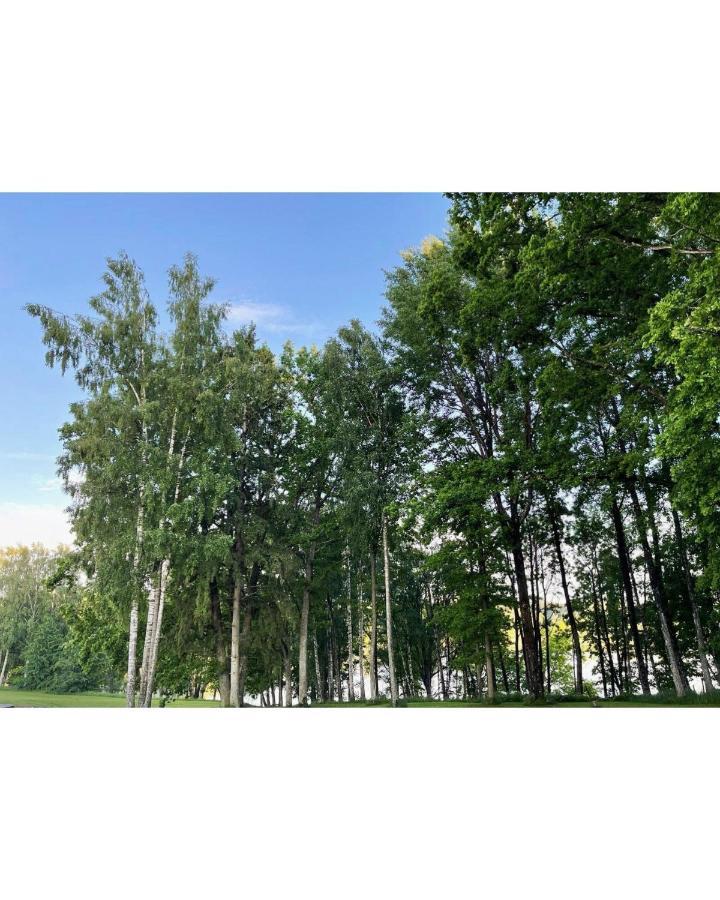 Brivdienu Maja Ezerkalni Myza Dzirtsiyems Extérieur photo